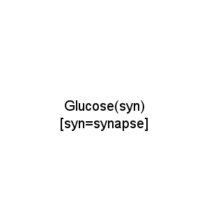 Glucose(syn) [syn=synapse]